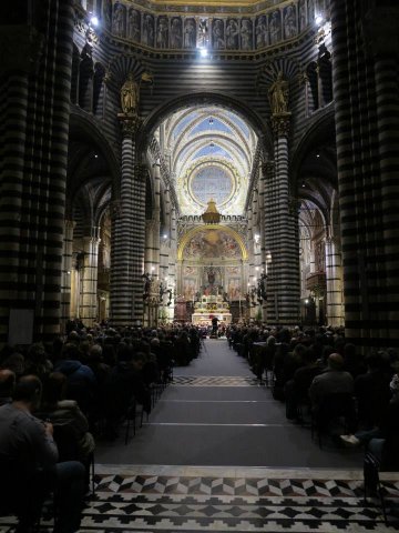 Concerto nel Duomo di Siena, 8 novembre 2014